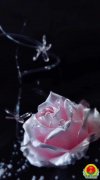家乡青椒鱼