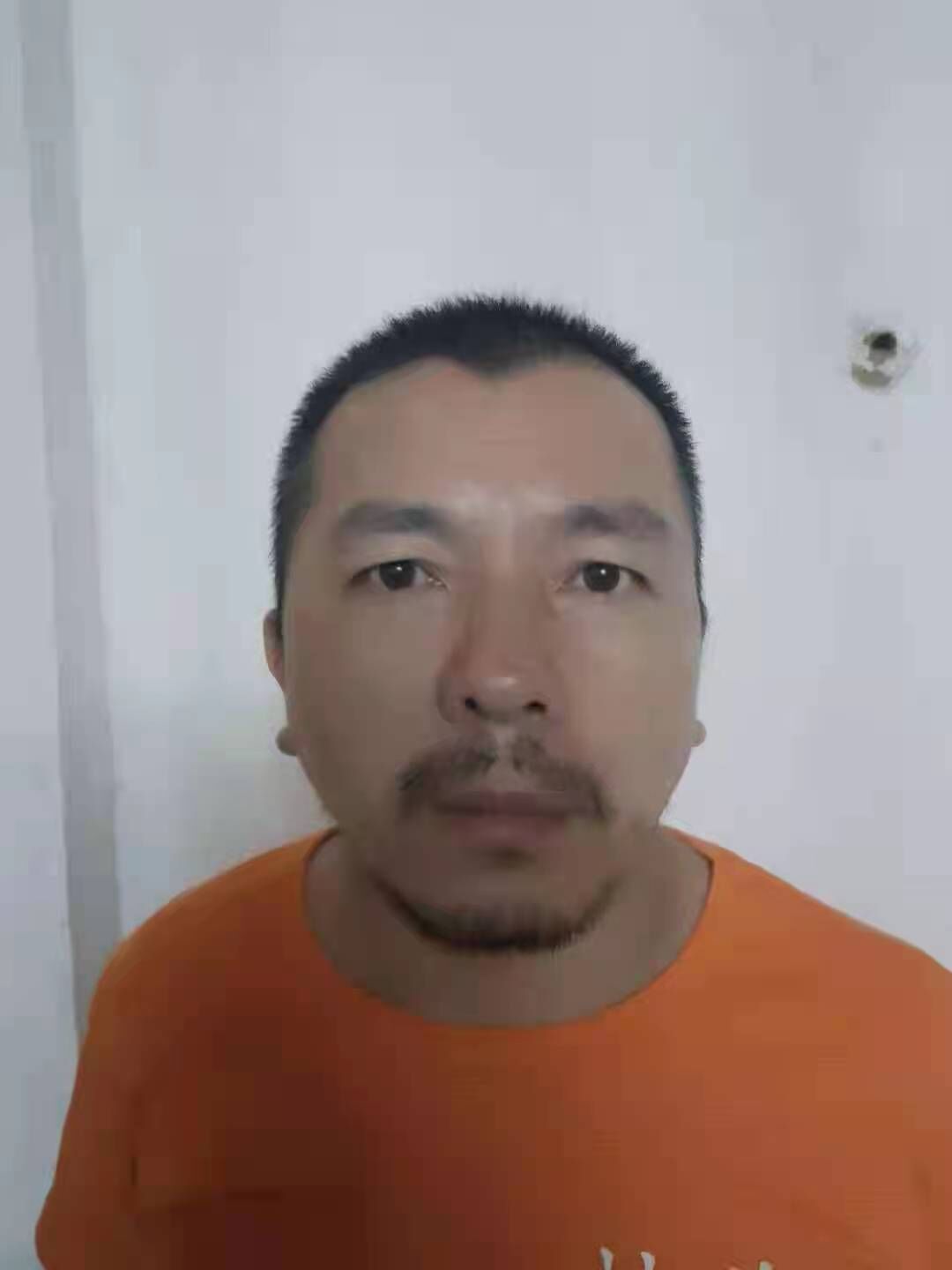 林金本 